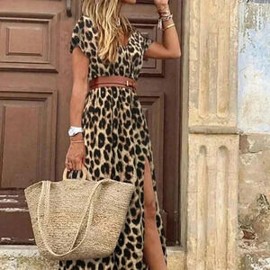 Chocolate Brown Casual Women's Leopard Print Deep V BatwingSleeve Dress